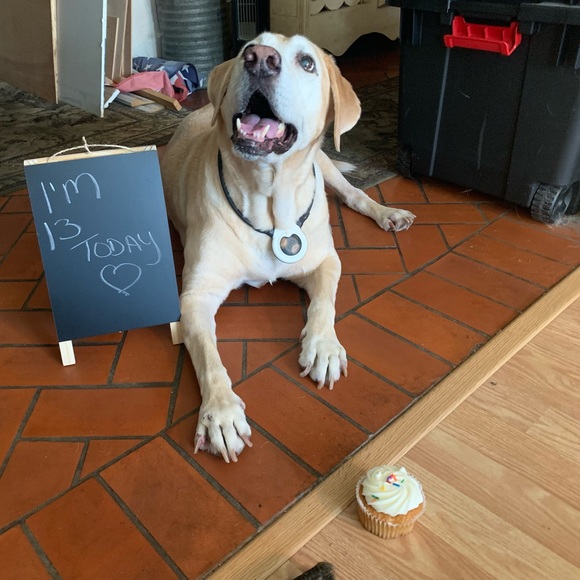 Meet your Posher, Heidi - Picture 9 of 9